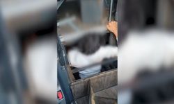 Ankara'da yolcu otobüsünün gizli bölmesinde 5 düzensiz göçmen yakalandı