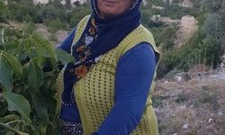Anne-oğul 2 saat arayla kalp krizinden hayatını kaybetti