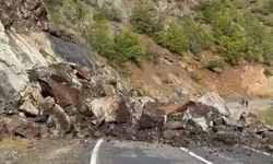 Artvin'de heyelan nedeniyle köy yolu ulaşıma kapandı