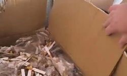 Aydın'da 138 bin 800 makaron ele geçirildi; 3 gözaltı