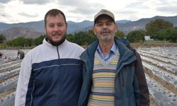 Baba-oğul, ata toprağında organik tarım yapıyor