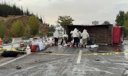 Bal ve arı kovanı yüklü kamyonet devrildi; 3 yaralı