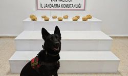 Başkale'de 11 kilo 958 gram toz esrar ele geçirildi