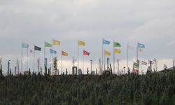 Beştepe Millet Ormanı yarın açılıyor