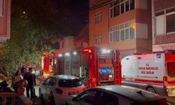 Beykoz'da kulübede başlayıp 2 binaya sıçrayan yangın söndürüldü