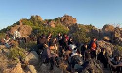 Bodrum'da 34 kaçak göçmen yakalandı