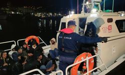 Bodrum'da 36 kaçak göçmen kurtarıldı