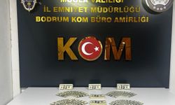 Bodrum'da 46 bin 200 sahte ABD dolarI ele geçirildi, 1 tutuklama