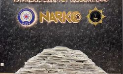 Bulgaristan'dan Türkiye'ye giriş yapan TIR'da 84 kilogram uyuşturucu ele geçirildi