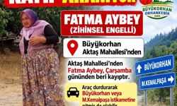 Bursa'da 2 gün önce kaybolan engelli kadın, ormanda bulundu