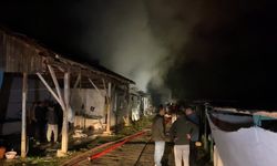 Bursa'da hayvan çiftliğinde çıkan söndürüldü
