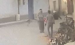 Bursa'da motorlu testereyle korkutulan yaşlı kişi kaçarken düştü