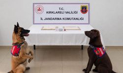 Cezaevine uyuşturucuyla girmeye çalışan hükümlü tutuklandı