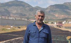 Coğrafi işaretli 'Antep karası' üzümünde kurutma zamanı