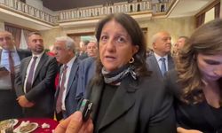 DEM Parti'li Buldan: İzleme Kurulu'nda zaman kaybetmemek gerekiyor