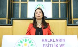 DEM Parti'li Hatimoğulları: Meclis'te komisyon kurulmalı