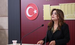 DEM Parti'li Koçyiğit: Bu ülkedeki her 100 liranın 17 lirası faize gidiyor