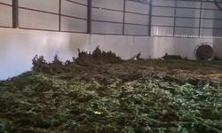 Diyarbakır'da 2,2 ton esrar ele geçirildi: 3 tutuklama