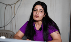 Diyarbakır'da ipek böcekçiliği, bin çiftçiye geçim kaynağı oluyor / Ek fotoğraflar