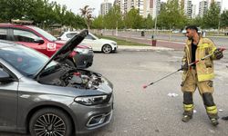 Diyarbakır'da otomobilin kaputuna giren yılanı vatandaşlar çıkardı