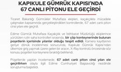 Edirne-Kapıkule Gümrük Kapısı'nda 67 canlı piton ele geçirildi