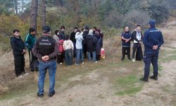 Edirne'de 18 kaçak göçmen yakalandı