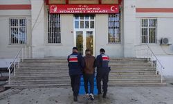 Edirne'de 23 kaçak göçmen yakalandı