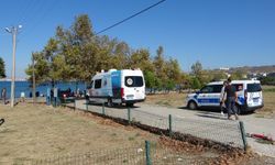 El freni çekilmeyen otomobil, denize düştü