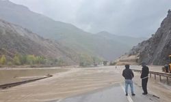 Erzincan'da sağanak sele neden oldu; Erzurum kara yolu heyelan nedeniyle ulaşıma kapandı (2)