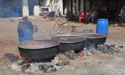 Gaziantep'te pekmez mesaisi