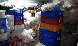 Gaziosmanpaşa'da bozulmuş 15 ton et ve et ürününe el konuldu