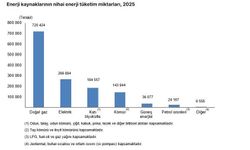Hanehalkı toplam nihai enerji tüketimi 1,3 milyon terajul oldu