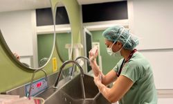 Hastanede şifa dağıtan doktor, minderde madalya için ter döküyor
