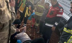 Hatay'da, kontrolden çıkan TIR zeytinlik alana devrildi