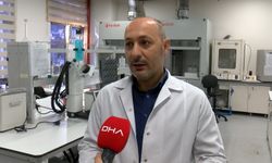 Hayvan yemi olarak kullanılan fındık posası, tüketilebilir protein kaynağına dönüşecek