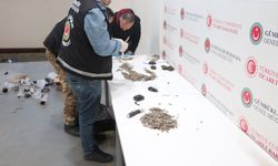 İpsala ve Kapıkule'de 7 bin 160 tarihi eser ele geçirildi
