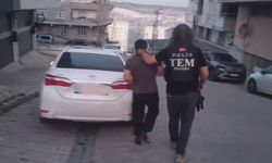 İstanbul'da DEAŞ ve El Kaide operasyonu: 14 gözaltı