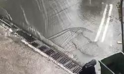 İstanbul'da taşkın oluşmaması için bastonu ile mazgaldaki yaprakları temizledi