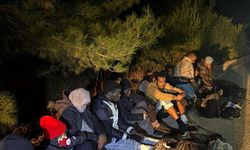 İzmir'de 16 kaçak göçmen yakalandı; 1 organizatör şüphelisi tutuklandı