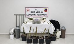 İzmir'de 5 kilo skunk ele geçirildi