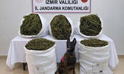 İzmir'de 54 kilo 800 gram kubar esrar ele geçirildi: 3 tutuklama