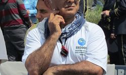 İzmir'de son 1 haftada 3 ölü yunus sahile vurdu