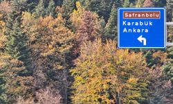 Karabük ormanlarında sonbahar renkleri