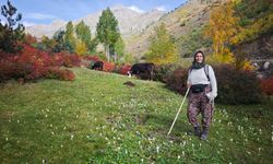 Kayaların üzerine kurulan köyde sonbahar manzarası
