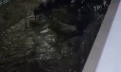 Kocaeli'de sağanak su baskınlarına neden oldu