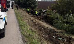 Kontrolden çıkan TIR, tarlaya uçtu: 1 yaralı