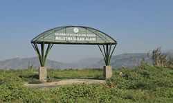 Kuş cennetine moloz döktüler