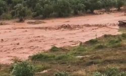 Kuvvetli yağış ve dolu nedeniyle tarım arazileri zarar gördü (2)