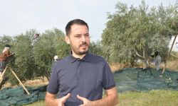 Manisa'da zeytin hasadı eğitimle başladı
