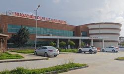Mardin'de otomobil su kanalına uçtu: 4'ü çocuk, 6 ölü